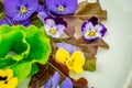 Beautiful salad with edible flowers