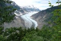 The beautiful salmon glacier.