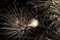 Beautiful salute and fireworks with the black sky background. Abstract holiday background with various colors fireworks light up. Royalty Free Stock Photo