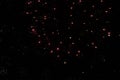 Beautiful salute and fireworks with the black sky background. Abstract holiday background with various colors fireworks light up. Royalty Free Stock Photo