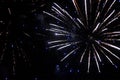 Beautiful salute and fireworks with the black sky background. Abstract holiday background with various colors fireworks light up Royalty Free Stock Photo