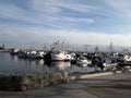 Beautiful San Diego marina boats
