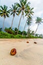 Beautiful sand beach in Galle, Sri Lanka Royalty Free Stock Photo