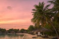 Beautiful sand beach with lush palm trees and thatch umbrellas with sunbeds during a sunrise