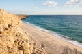 Beautiful sand beach. Turtle tracks on sand in Ras al Jinz turtle reserve, Oman