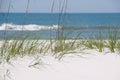 Beautiful sand dune