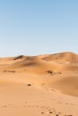 Beautiful sand dunes in Erg Chebbi desert, in Morocco, Africa Royalty Free Stock Photo