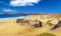 Beautiful sand dunes landscape, empty wild natural beach Playa del Aljibe, blue atlantic ocean lagoon,  steep cliff with white Royalty Free Stock Photo