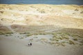 A beautiful sand dunes in a Neringa National park.