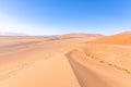 Beautiful sand dunes, perfectly shaped, at dune 45, Sossusvlei, Namibia.