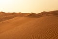 Beautiful sand dunes in the Sahara desert