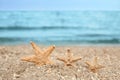 Beautiful on sand near sea, space for text. Beach object Royalty Free Stock Photo