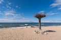 A beautiful sandy beach with a coniferous forest in the bay of the village of Goryachinsk, a popular resort in Buryatia. Summer.
