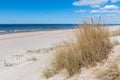 Beautiful sandy beach with dry and yellow grass, reeds, stalks blowing in the wind, blue sea with waves on the Baltic Sea Royalty Free Stock Photo