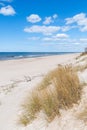 Beautiful sandy beach with dry and yellow grass, reeds, stalks blowing in the wind, blue sea with waves on the Baltic Sea Royalty Free Stock Photo