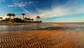 Beautiful Sandy Beach With Palm Trees At Sunset. Egypt