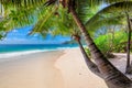 Beautiful sandy Caribbean beach