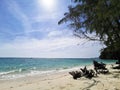 beautiful sandy beach and sea with clear blue sky background amazing beach blue sky sand sun daylight relaxation landscape view in Royalty Free Stock Photo