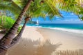 Beautiful sandy Caribbean beach with palm and a sailing boat in the turquoise sea