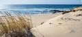 Beautiful sandy coastline of Atlantic ocean in Portugal. Beach grass or marram grass at the foreground and calm ocean at the