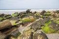 Beautiful sandy and rocky coast of France on the Ocean. Large stones covered with moss at low tide on the beach Royalty Free Stock Photo