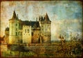 Beautiful Saumur (loire valley) Royalty Free Stock Photo