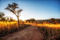 Beautiful savannah landscape in South Africa Royalty Free Stock Photo