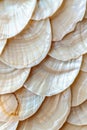 Beautiful scaly texture from mother of pearl shell mosaic as background Royalty Free Stock Photo