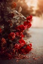 Beautiful scarlet bush roses fade, dropping petals on the road on an autumn sunny evening. The beauty of nature and withering