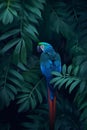 Beautiful Scarlet macaw (Ara ararauna) in the jungle