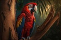 Beautiful Scarlet Macaw Full Body In Forest. Colorful and Vibrant Animal. Royalty Free Stock Photo