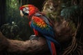Beautiful Scarlet Macaw Full Body In Forest. Colorful and Vibrant Animal. Royalty Free Stock Photo