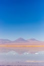 Beautiful scenario in the Atacama Desert, northern Chile, South America. Royalty Free Stock Photo