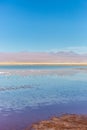 Beautiful scenario in the Atacama Desert, northern Chile, South America. Royalty Free Stock Photo