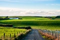 Beautiful scene of agriculture in a rural area at sunset. Green grassland, house, and cloudy sky. I Royalty Free Stock Photo