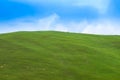 The beautiful scene of blooming wild flowers on the alpine grassland in western Sichuan