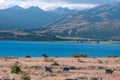 Beautiful scene of blue lake folk of sheep gazing on yellow grassland beside lake Tekapo before sunset. I