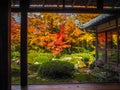 Beautiful scene of colorful autumn maple treess in japanese temple garden Royalty Free Stock Photo