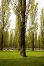 Beautiful scene in Departmental Estate of Sceaux, Parc de Sceaux, France