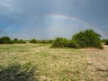 Beautiful scene of double rainbow on blue sky copy space background above natural sand, grass and tree on savanna plain Royalty Free Stock Photo