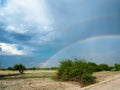 Beautiful scene of double rainbow on blue sky copy space background above natural sand road, grass and tree on savanna plain Royalty Free Stock Photo