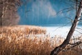 Beautiful scene of fall with birch in foreground. Royalty Free Stock Photo