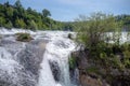 Beautiful scene of  flowing stream with small trees and rock Royalty Free Stock Photo