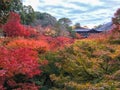 Beautiful scene of a garden in a Japanese temple full of colorful maple trees at autumn season with cloudy sky background Royalty Free Stock Photo