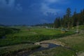 Beautiful scene in Gulmarg-2 Royalty Free Stock Photo