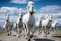 A beautiful scene of a herd of horses galloping across a colourful and lively field Royalty Free Stock Photo