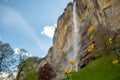 Beautiful scene of lovely small yellow flowers in public park on blurred big waterfall with blue sky background Royalty Free Stock Photo