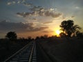 Beautiful scene of Nature on a railway track sunset behind the tree pleasing sky
