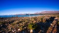 Beautiful scene near Lake Takapo New Zealand during holiday.