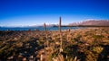 Beautiful scene near Lake Takapo New Zealand during holiday.